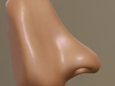 Matcap nose part 3D model