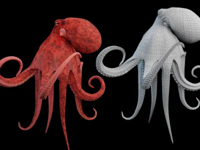 Animated Octopus Low-poly 3D model
