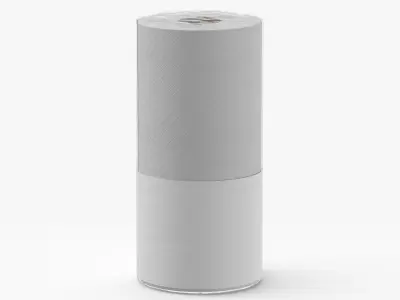 Paper Towels Single Blank and Generic Label 3D model