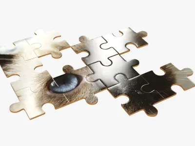 48-piece jigsaw puzzle Free 3D model