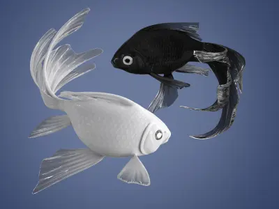 Yin Yang Black White Low-poly 3D model