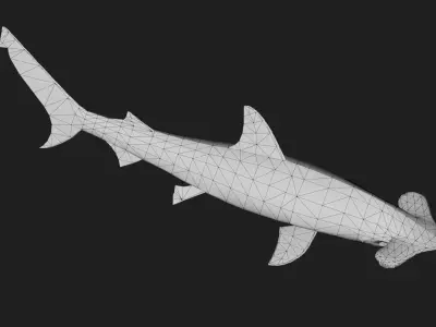 Hammerhead Low-poly 3D model