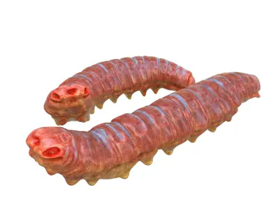 Worm Set Collection Low-poly 3D model