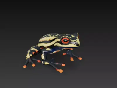 Frog Poisonous Realistic 3D Model Basic - Low Poly Realistic Low-poly 3D model