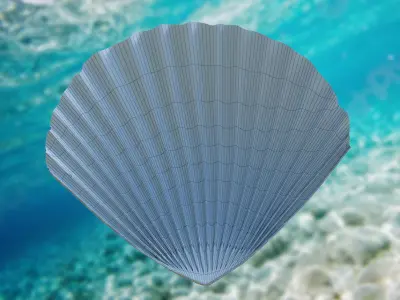 Scallop Seashell 3D model Free 3D model