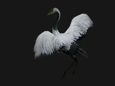 Crane Bird A2 3D model