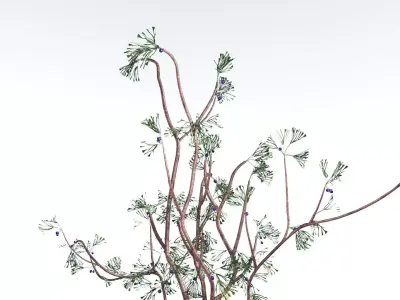 EVERYPlant Baiera LowPoly 2 --14 Models-- Low-poly 3D model