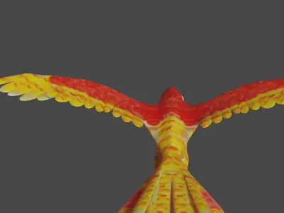 scarlet macaw 3D model