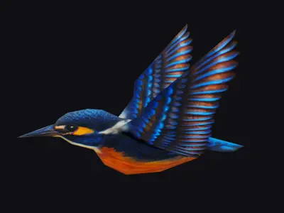 Realistic Kingfisher Animated Bird Hummingbird Shoal Low-poly 3D model