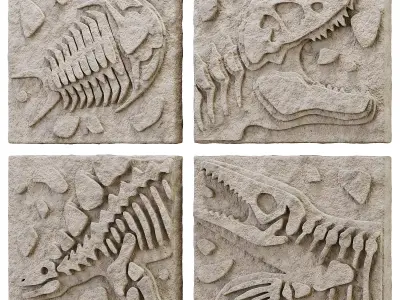 DIY Fossil Art Collection 3D model