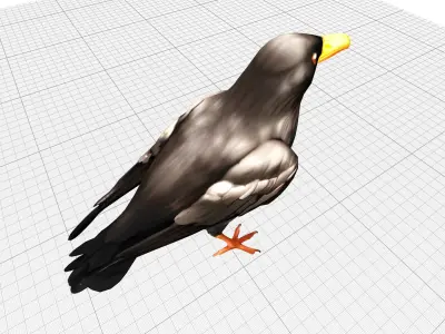 Black Raven Crow Low-poly 3D model