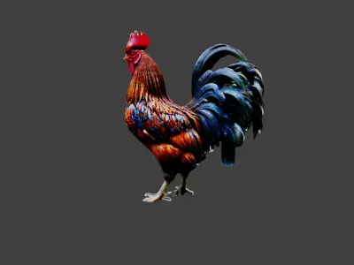 Rooster Animal Low-poly 3D model