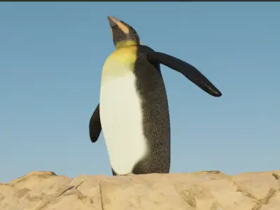 free penguin model Free low-poly 3D model