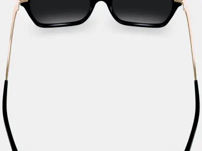Vela Sunglasses in Jet Black with Polished Gold 3D model