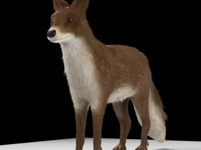 Fox animal Low-poly 3D model