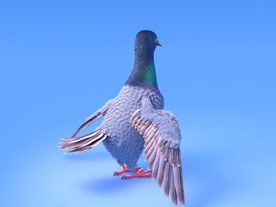 Pigeon with feather system - Cartoon style 3D model