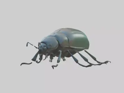Beetle Model 1 Low-poly 3D model