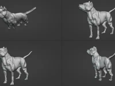 Bull Dog 3D model