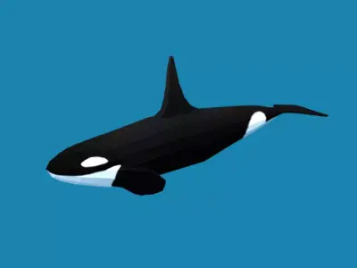 Low Poly Cartoon Orca Killer Whale Low-poly 3D model