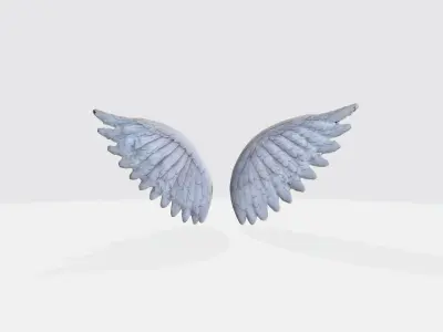 A pair of large detailed angel wings 3D model