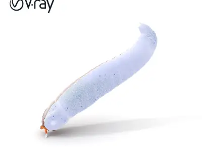 Realistic Millipede Model Pack for Animations and Games Low-poly 3D model