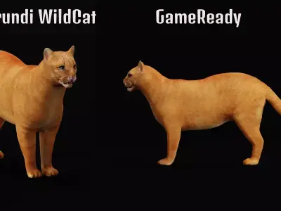 Jaguarundi Wildcat Animal Free 3D model