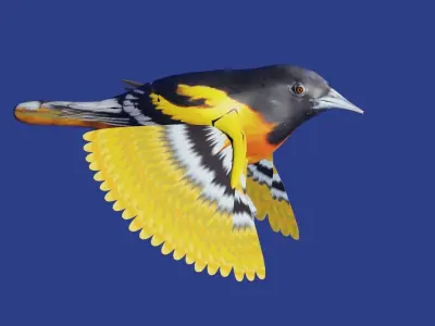 AMERICAN YELLOW BIRD Low-poly 3D model