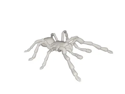 Tarantulas spider 3D model