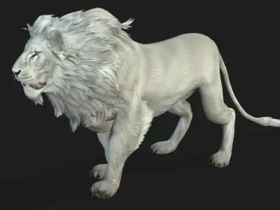 Lion A2 Free 3D model