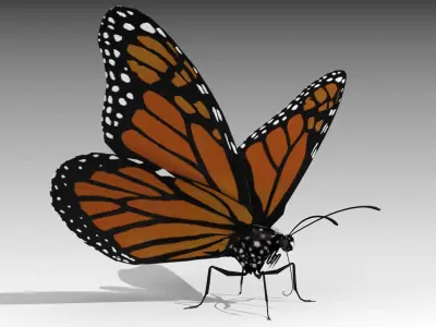 Monarch butterfly Low-poly 3D model