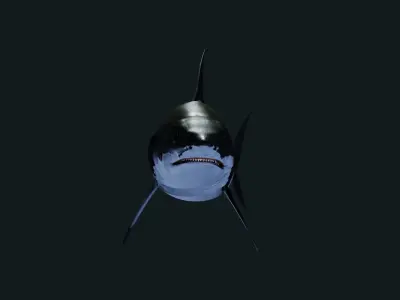 Shark Great-white shark 3D model