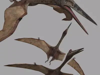 Quetzalcoatlus HD - 3d animated model Low-poly 3D model