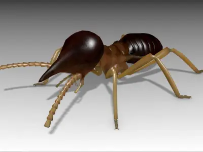 Nasute Termite Low-poly 3D model