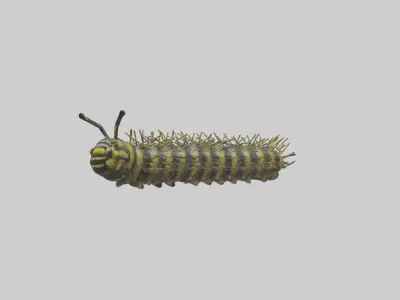 Monarch Caterpillar Low-poly 3D model