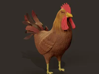 Cockerel Game ready 3D model Low-poly 3D model