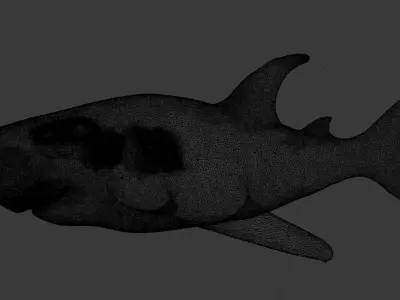 Shark model and texuerd Free low-poly 3D model