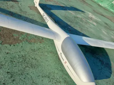 3D Printed RC Scale Sailplane DIANA-3 Wingspan 4m 3D print model
