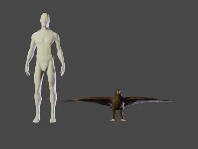 Golden Eagle Low Polly Low-poly 3D model