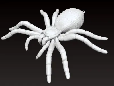 Tarantula - Gooty Sapphire Spider - Poecilotheria Metallica 3D model