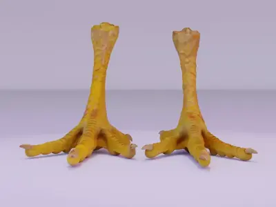 Pair chicken feet high-poly 3D model