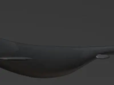 Clidastes - prehistoric sea monster 3D model