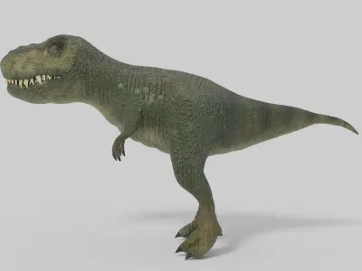 3D T-Rex Model t - rex dinosaur Low-poly 3D model