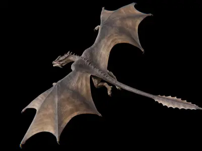 Dragon Wyvern Alpha Low-poly 3D model