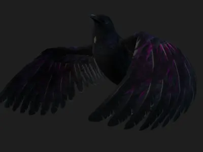 Raven A3 3D model