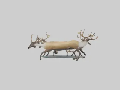 Caribou migrating model Low-poly 3D model