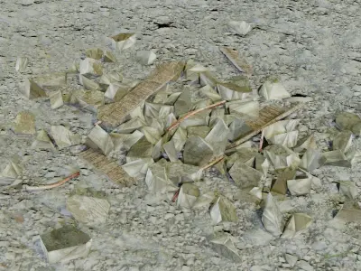 Rock debris Low-poly 3D model