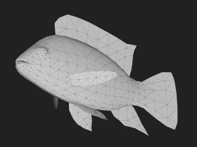 Cichlid Low-poly 3D model