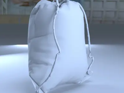 Caring BAG Low-poly 3D model