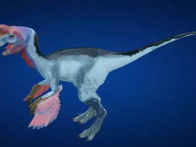 Oviraptor dinosaur Low-poly 3D model