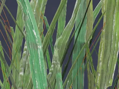 ULTRA REALISTIC GRASS FOLIAGE Free low-poly 3D model